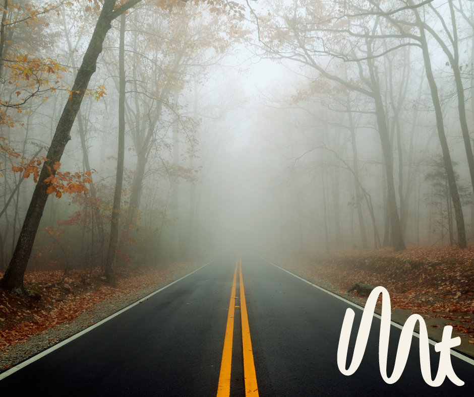 A road in autumn, with fog blurring the horizon.